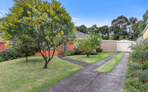 105 Therese Avenue, Mount Waverley VIC