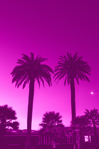 Twin Palms - Hot Pink