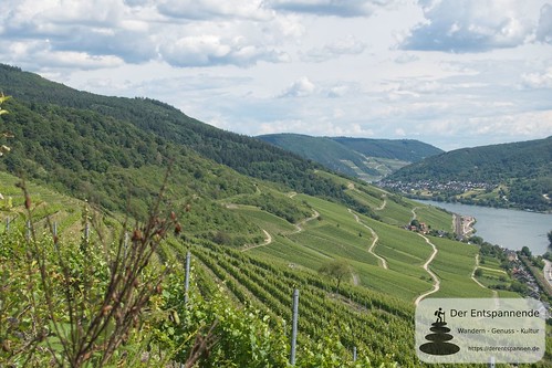 Wisper-Trail bei Lorch: In Vino Veritas