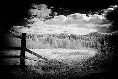 When the fence falls - HFF - infrared