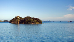 Bay Of Islands - Cruise - Poroporo Island 1