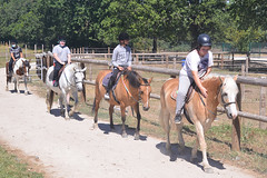 sport decouverte-equitation-3