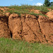 Spearfish Formation redbeds (Permian and/or Triassic; cut in Sundance, Wyoming, USA) 5