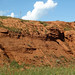 Spearfish Formation redbeds (Permian and/or Triassic; cut in Sundance, Wyoming, USA) 4