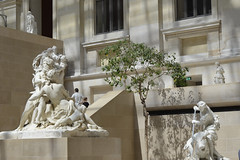 2020.08.06.003 PARIS - Musée du LOUVRE - aile Richelieu - Cour Marly