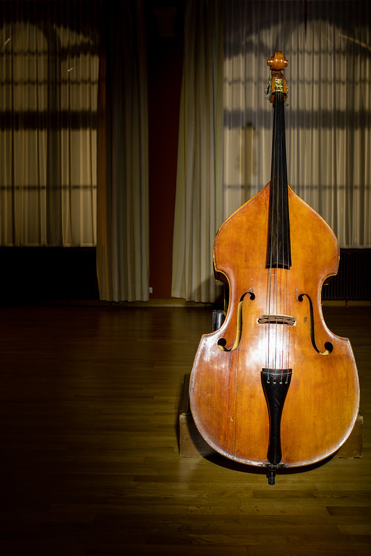 Double bass<br/>© <a href="https://flickr.com/people/81504125@N00" target="_blank" rel="nofollow">81504125@N00</a> (<a href="https://flickr.com/photo.gne?id=50214897481" target="_blank" rel="nofollow">Flickr</a>)