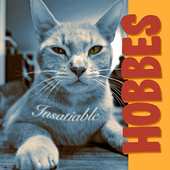 Day 219 : Hobbes the Album