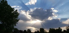 August 10, 2020 - Cool crepuscular rays at the end of the day. (David Canfield)