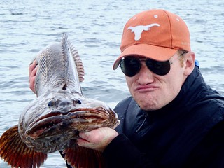 Copy of Saltwater Holding - Lingcod Fishing - Texas Longhorn Guy Makes Face