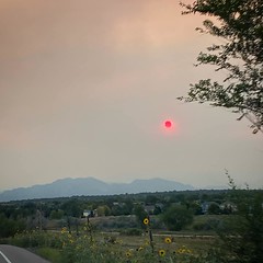 August 12, 2020 - A red sun due to wildfires to the west. (Karyn Moore)