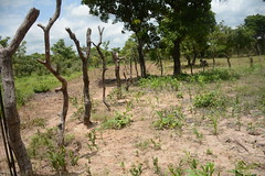 Picture of one of the farms fenced to ensure the farm is protected