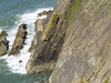 Cornwall 2020 • <a style="font-size:0.8em;" href="http://www.flickr.com/photos/117911472@N04/50237313658/" target="_blank">View on Flickr</a>