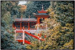 " The Chinese Garden"