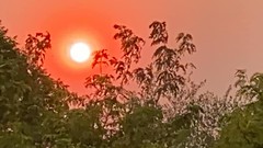 August 18, 2020 - A smoky sun in Grand Junction. (Al Feuerborn)