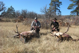 127-2-hunters-2-elk