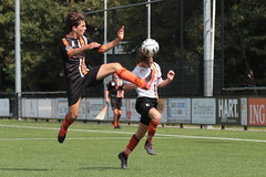 HBC Voetbal • <a style="font-size:0.8em;" href="http://www.flickr.com/photos/151401055@N04/50258605603/" target="_blank">View on Flickr</a>