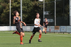 HBC Voetbal • <a style="font-size:0.8em;" href="http://www.flickr.com/photos/151401055@N04/50259454377/" target="_blank">View on Flickr</a>