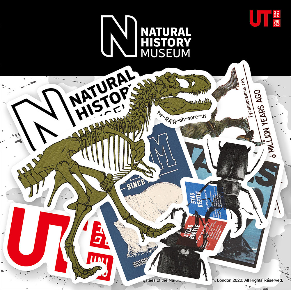 20FW_UT_Natural_History_Museum_sticker