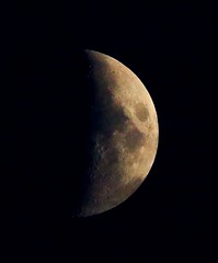 August 24, 2020 - A beautiful rising moon. (Bill Hutchinson)