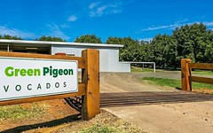 702 Green Pigeon Road, Green Pigeon NSW