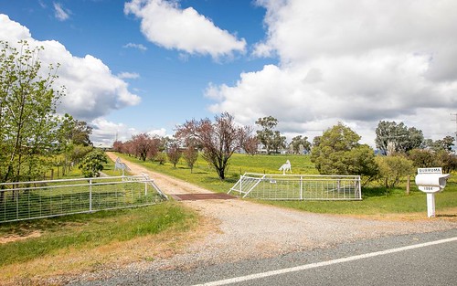 1064 Table Top Road, Table Top NSW