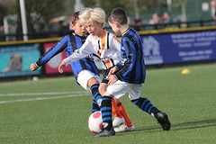 HBC Voetbal • <a style="font-size:0.8em;" href="http://www.flickr.com/photos/151401055@N04/50314327623/" target="_blank">View on Flickr</a>