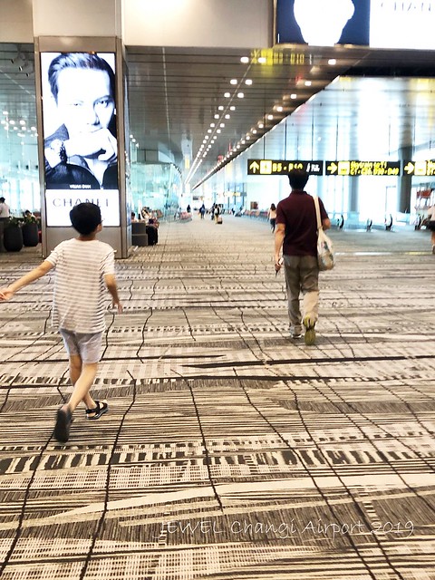 新加坡璋宜機場 20190704_215