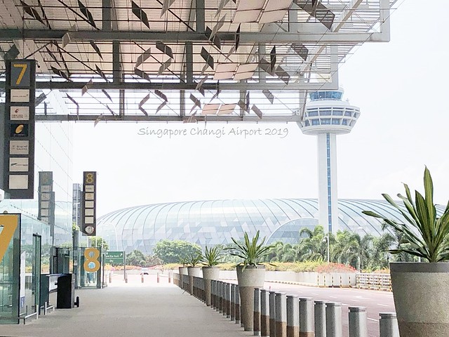 新加坡璋宜機場 20190704_7