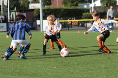 HBC Voetbal • <a style="font-size:0.8em;" href="http://www.flickr.com/photos/151401055@N04/50315174757/" target="_blank">View on Flickr</a>