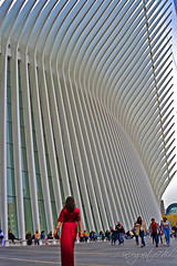 Me & The Oculus World Trade Center WTC Lower Manhattan New York City NY P00643 DSC_2707