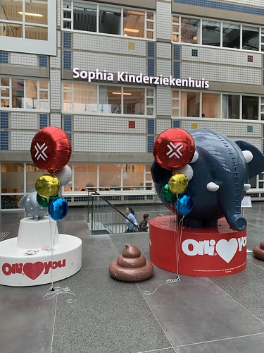 Balloon Bouquet Printede Foilballoon Round Sophia Kinderziekenhuis Rotterdam
