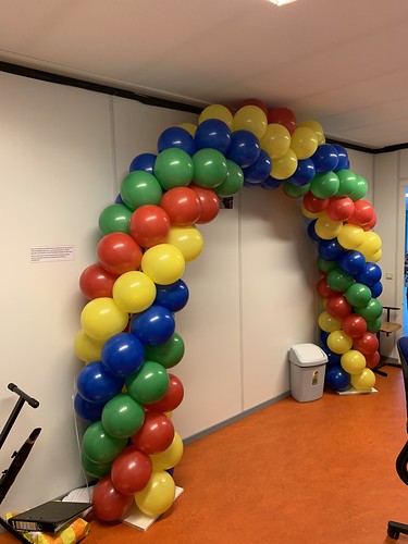 Balloon Arch 6m Diploma Mytylschool the Brug VSO Rotterdam Geslaagd