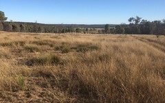 Lot 113 Turill Bus Route Road, Turill NSW