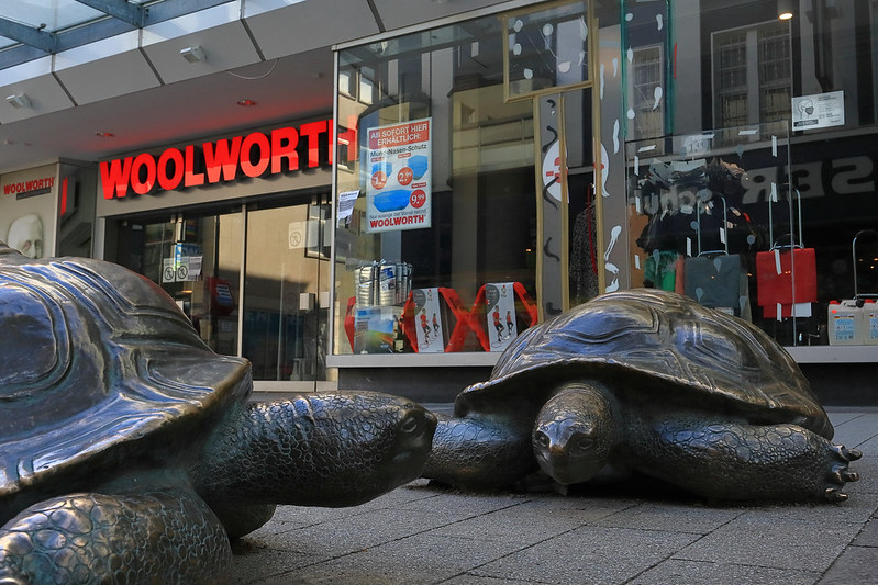 City turtles...<br/>© <a href="https://flickr.com/people/186834879@N08" target="_blank" rel="nofollow">186834879@N08</a> (<a href="https://flickr.com/photo.gne?id=50327726856" target="_blank" rel="nofollow">Flickr</a>)