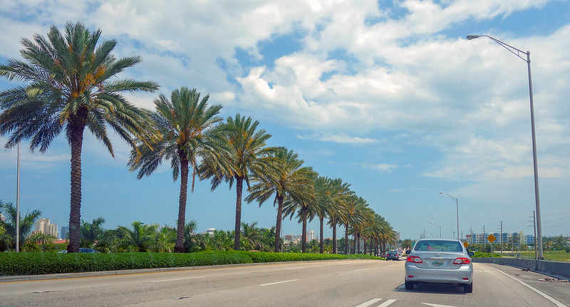 Palm trees lined streets in Sunny Isles Beach<br/>© <a href="https://flickr.com/people/189482906@N05" target="_blank" rel="nofollow">189482906@N05</a> (<a href="https://flickr.com/photo.gne?id=50328440616" target="_blank" rel="nofollow">Flickr</a>)