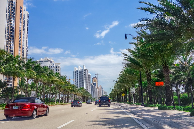 Palm trees lined streets in Sunny Isles Beach<br/>© <a href="https://flickr.com/people/189482906@N05" target="_blank" rel="nofollow">189482906@N05</a> (<a href="https://flickr.com/photo.gne?id=50328620067" target="_blank" rel="nofollow">Flickr</a>)