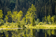 Ellbachsee in the Black Forest