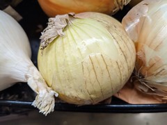 September 13: Onion - Number 257