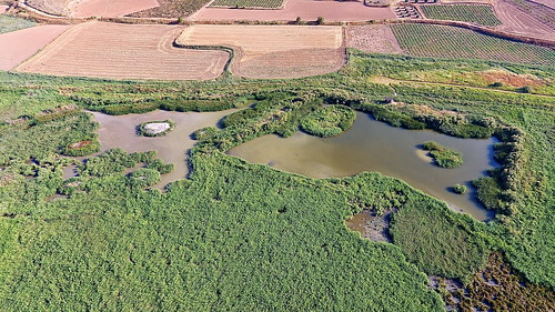 Vista de dron Lagunas 13-8-2020 Marta Guzmán VIII