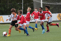 HBC Voetbal • <a style="font-size:0.8em;" href="http://www.flickr.com/photos/151401055@N04/50340603362/" target="_blank">View on Flickr</a>