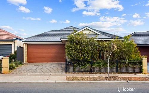 53 Hayfield Avenue, Blakeview SA