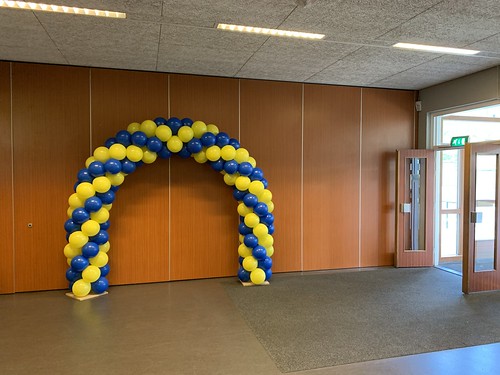 Balloon Arch 6m Montessori Lyceum Rotterdam