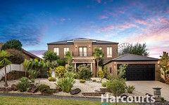 18 Rodeo Court, Endeavour Hills VIC