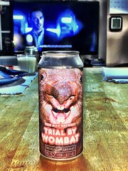 2020 262/366 9/18/2020 FRIDAY - Trial By Wombat India Pale Ale Hopped With Galaxy - Thin Man Brewery Buffalo New York