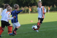 HBC Voetbal • <a style="font-size:0.8em;" href="http://www.flickr.com/photos/151401055@N04/50366748241/" target="_blank">View on Flickr</a>