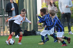HBC Voetbal • <a style="font-size:0.8em;" href="http://www.flickr.com/photos/151401055@N04/50366750671/" target="_blank">View on Flickr</a>