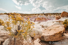 September 20, 2020 - Cool scene at the Paint Mines. (Jessica Fey)