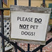PLEASE DO NOT PET DOGS!