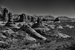 I Looked Across a Utah Desert, Seeing Wonders Near to Far (Black & White, Arches National Park)