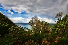 Glimpse of the Tasman Sea